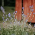 Chalet Koliba Sume Pjevaju - Robinzonski Smjestaj, Struja 12 V, Voda Iz Cisterne