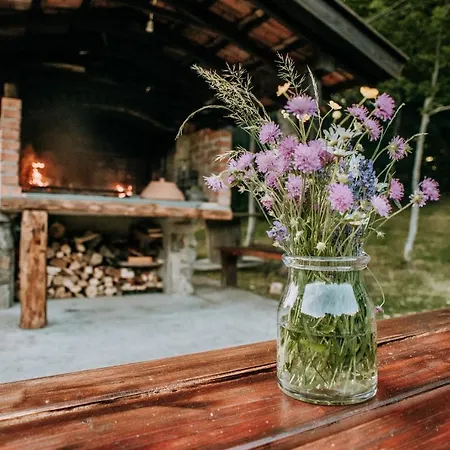 Koliba Sume Pjevaju - Robinzonski Smjestaj, Struja 12 V, Voda Iz Cisterne *