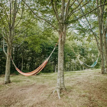 Alpesi faház Koliba Sume Pjevaju - Robinzonski Smjestaj, Struja 12 V, Voda Iz Cisterne Mrkopalj