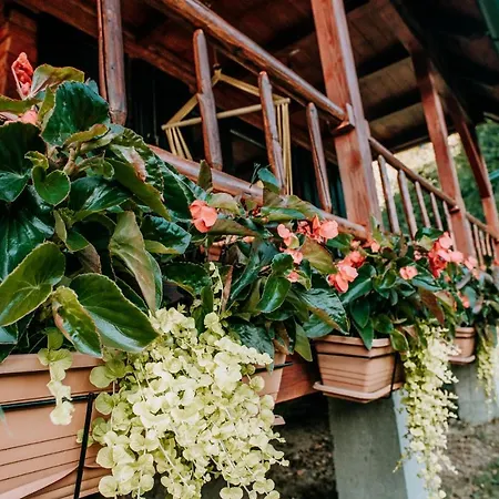 Alpesi faház Koliba Sume Pjevaju - Robinzonski Smjestaj, Struja 12 V, Voda Iz Cisterne *