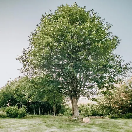 Alpesi faház Koliba Sume Pjevaju - Robinzonski Smjestaj, Struja 12 V, Voda Iz Cisterne *