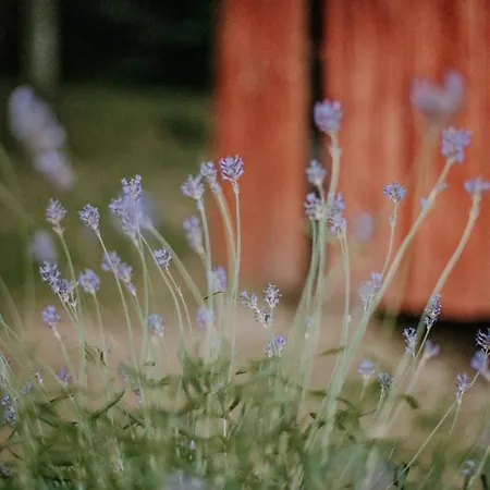 Alpesi faház Koliba Sume Pjevaju - Robinzonski Smjestaj, Struja 12 V, Voda Iz Cisterne