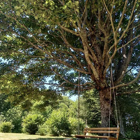 Alpesi faház Koliba Sume Pjevaju - Robinzonski Smjestaj, Struja 12 V, Voda Iz Cisterne *
