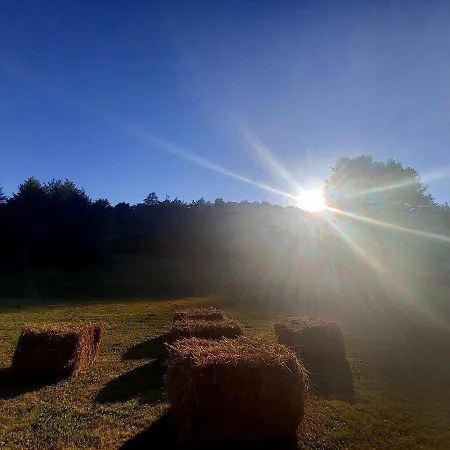 Koliba Sume Pjevaju - Robinzonski Smjestaj, Struja 12 V, Voda Iz Cisterne *