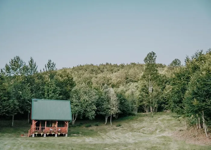 Brvnara Koliba Sume Pjevaju - Robinzonski Smjestaj, Struja 12 V, Voda Iz Cisterne *