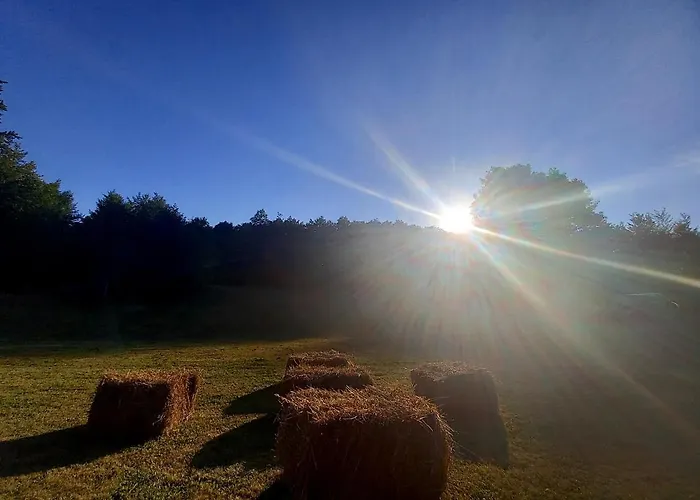Koliba Sume Pjevaju - Robinzonski Smjestaj, Struja 12 V, Voda Iz Cisterne *