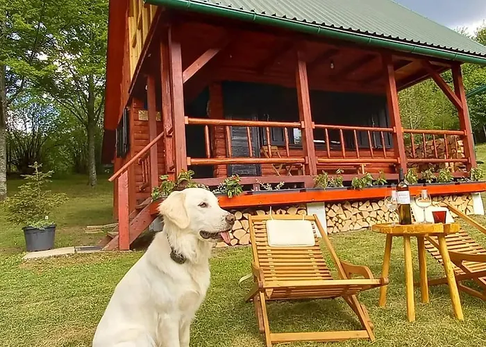 Koliba Sume Pjevaju - Robinzonski Smjestaj, Struja 12 V, Voda Iz Cisterne * Mrkopalj